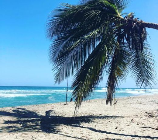HOSTAL Estrellas del tayrona