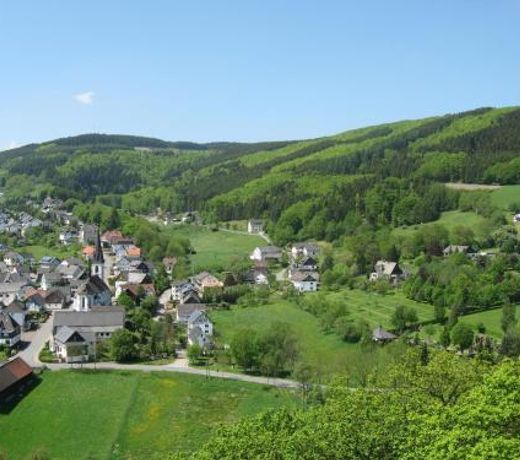 In der Waldemei