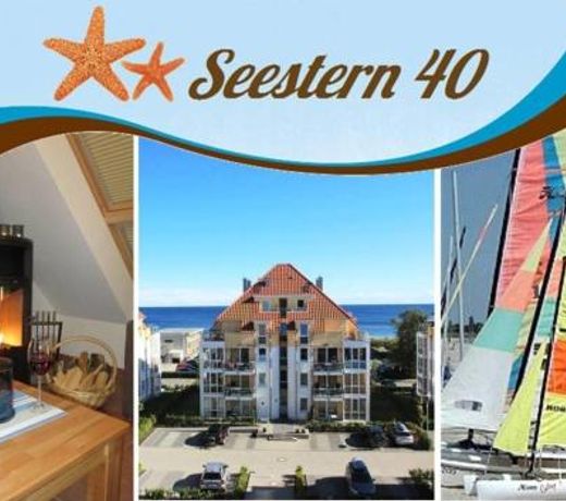 Seestern 40