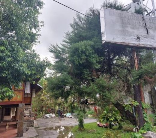 Mountain View Homestay