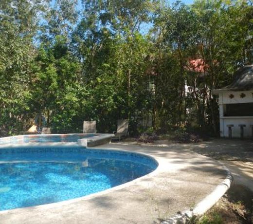 Jazba Jungle Retreat