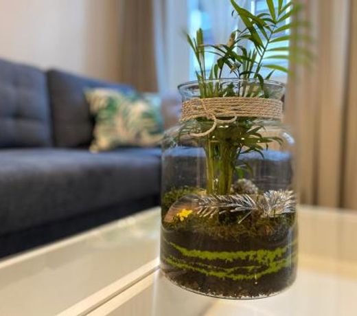 Apartament URBAN JUNGLE!
