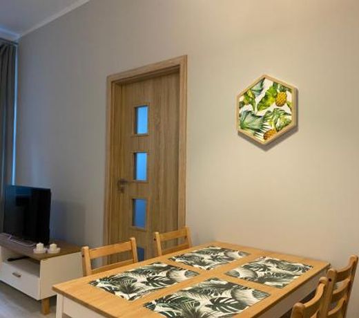 Apartament URBAN JUNGLE!
