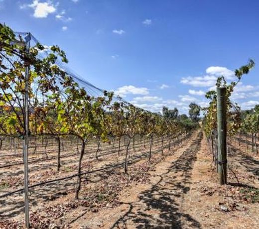 Escondido Home on 6-Acre Vineyard Estate with Views!