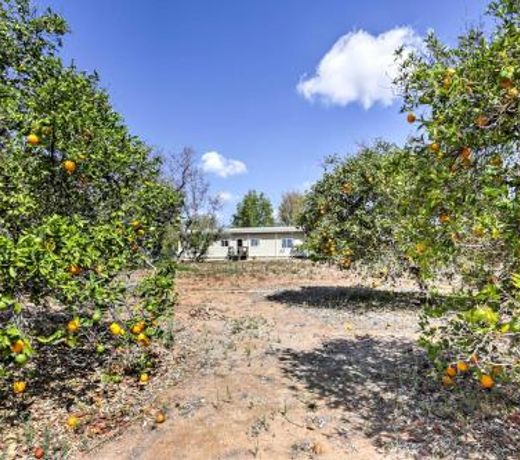 Escondido Home on 6-Acre Vineyard Estate with Views!
