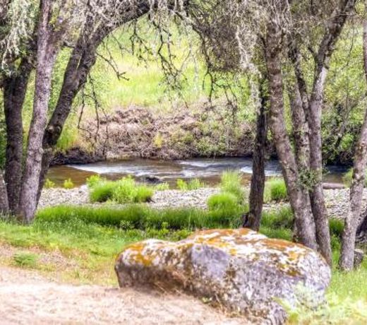 Placerville Cabin with Forest Views - Walk to River!