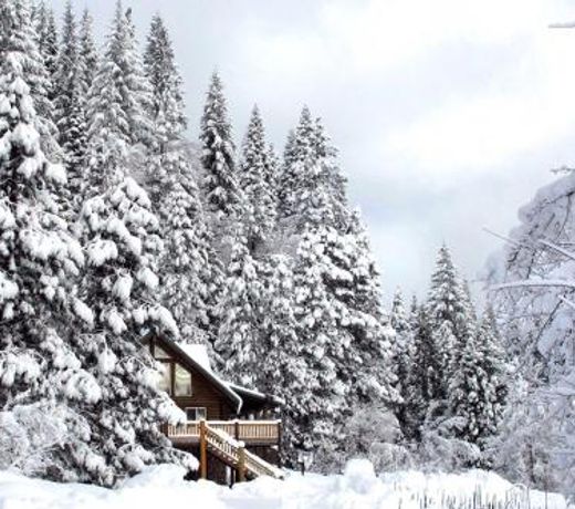 Log Home on 40 Private Acres By Mt Shasta Ski Park