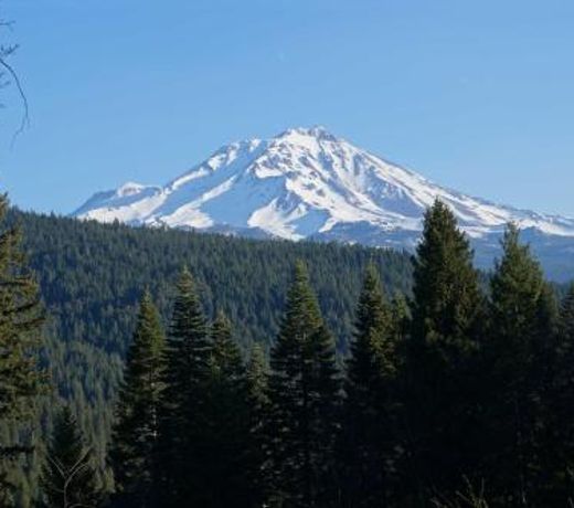 Log Home on 40 Private Acres By Mt Shasta Ski Park