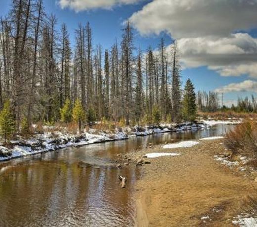 Grand Lake Cabin with Direct Access to Rocky Mtn NP!