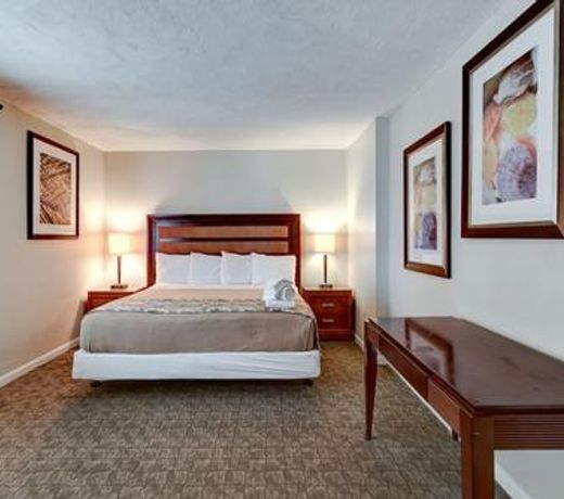 Beach Quarters Daytona