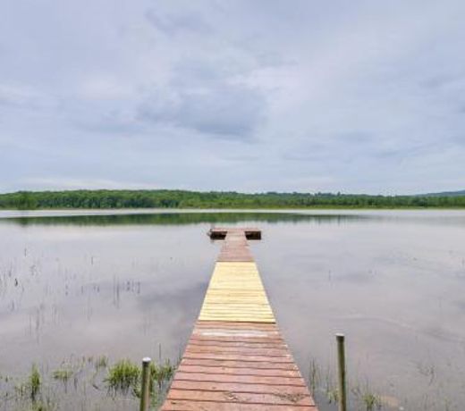 Secluded Harmony Cabin with Kayak and Private Dock