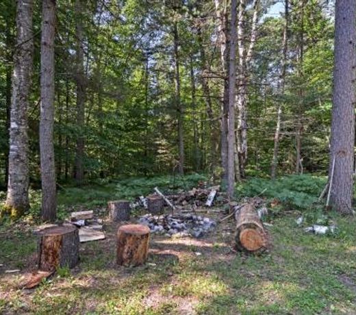 Thunder Cove Cabin Manistique Cabin with Lake View!