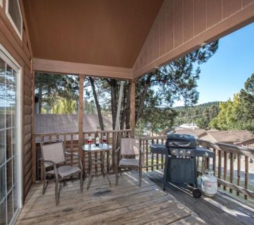 Aloft Cabin, 1 Bedroom, 1 Loft, Midtown, Sleeps 6