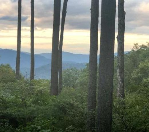 Superb Mountain Air Condo with Views, Near Asheville