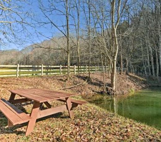 Secluded Marshall Cottage with Hot Tub and Mtn Views!