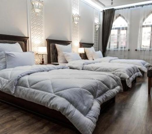 Hotel Minor