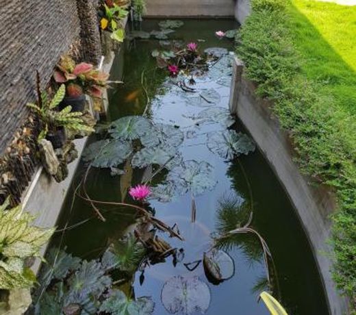 HOMESTAY VILLA