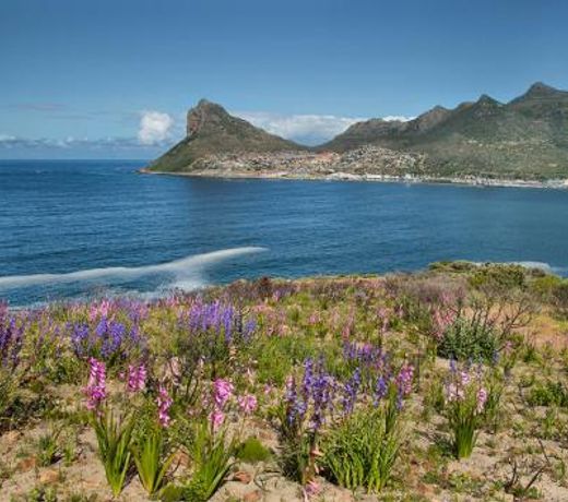 Beach Club Villa Hout Bay