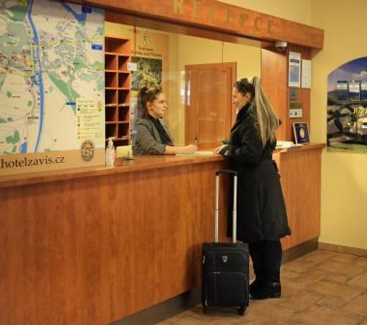 Záviš z Falkenštejna