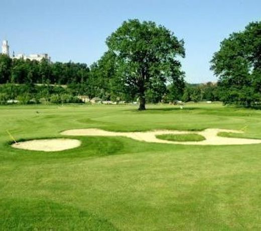 Záviš z Falkenštejna