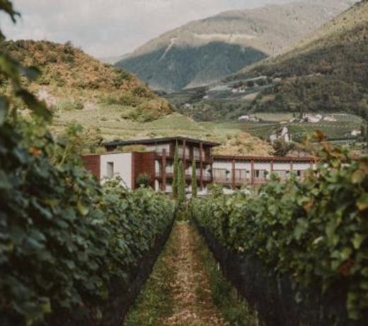 Hotel Schwarzschmied