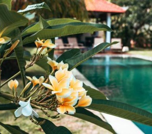 Bali Mynah Villas Resort