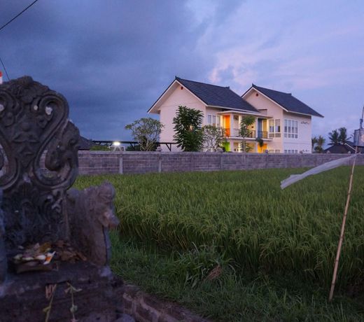 Puri12 Bed and breakfast - ricefield view