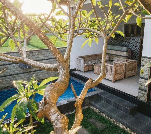Ubud two Bedrooms Villa private pool