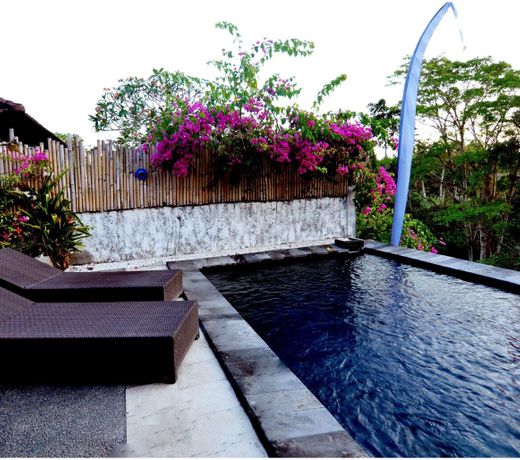 Ubud River View Villa with private pool
