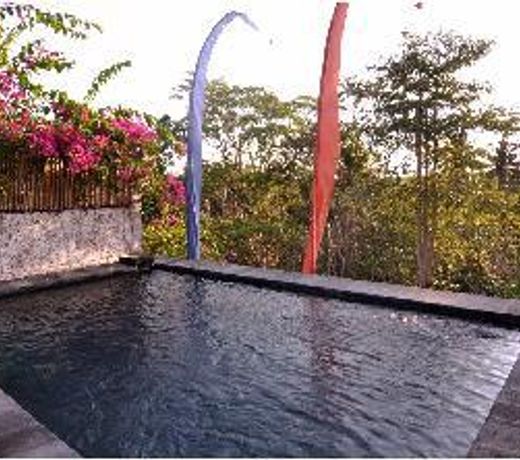 Ubud River View Villa with private pool