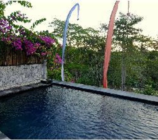 Ubud River View Villa with private pool