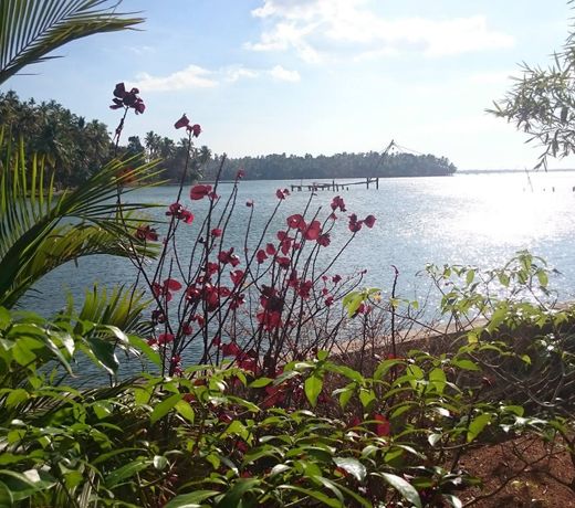Ashirvad Homestay, Ashtamudi Lake, NON AC