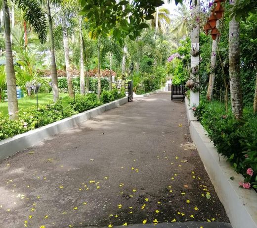 GRACE HOMESTAY - COME AND FEEL THE GRACE