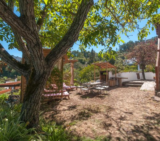 106801 - House in Valleseco