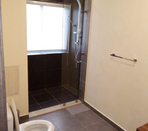 MILLENNIUM APARTMENT