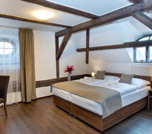 Hotel U Hada Zatec