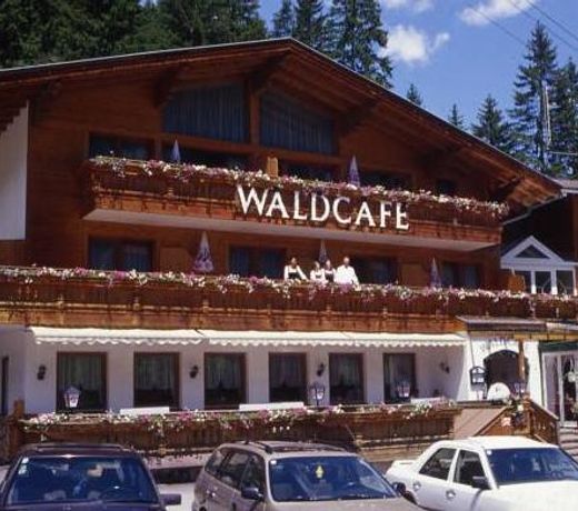 Hotel-Gasthof Waldcafe