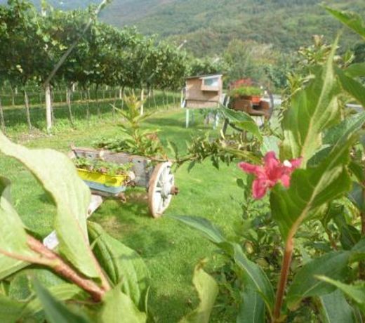 Agritur Maso Fontane