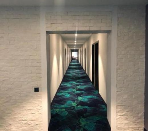Congress Hotel Meridian