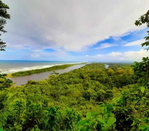 Hotel Tortuguero Beachfront