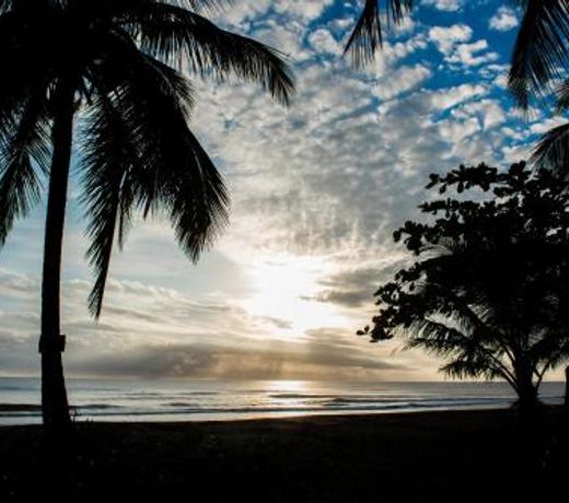 Hotel Tortuguero Beachfront