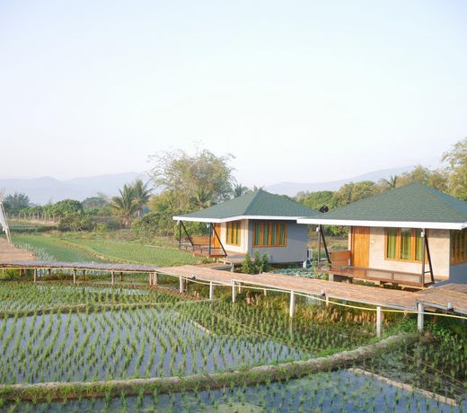 Nok Chan Mee Na
