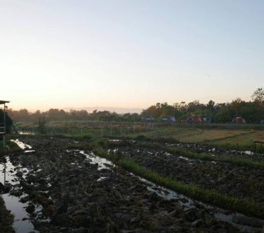 Nok Chan Mee Na