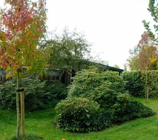 B&B De Hondsroos