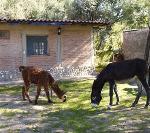Hotel Rustico Cerro Del Valle