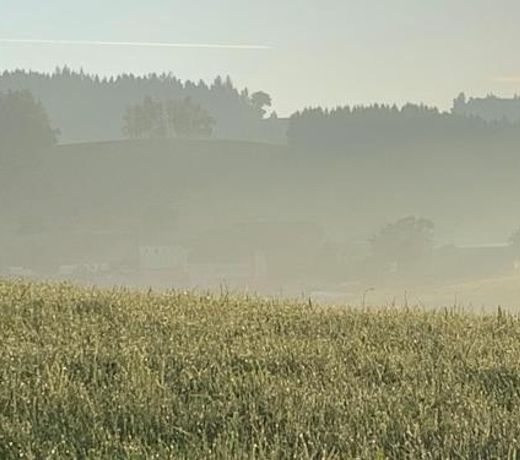 Ferienwohnung-Muhlviertel