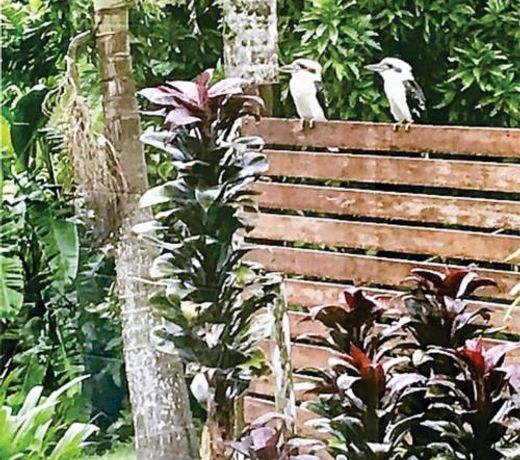 Paradise Eco B&B and Spa Retreat