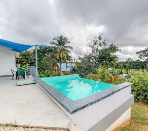 La Rana