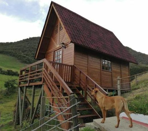 Las Acacias Hobbit House