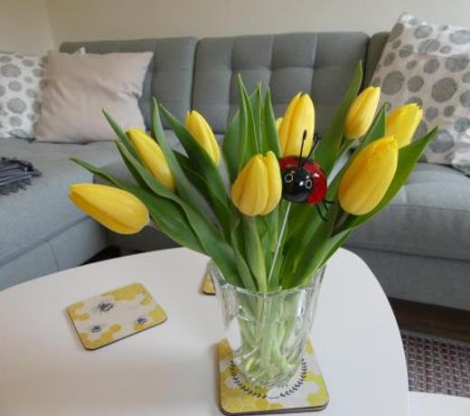 Ferienwohnung Sunteltraum
